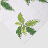 シンプルな植物画  薄葉紙 (詳細)
