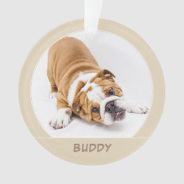 シンプルな犬の仔犬のクリスマスペットの写真 オーナメント