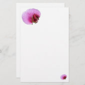 シンプルな甘エンドウ豆の文房具 便箋 (正面/裏面)