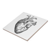 シンプルな白黒の解剖学のハートのイラストレーション タイル (側面)