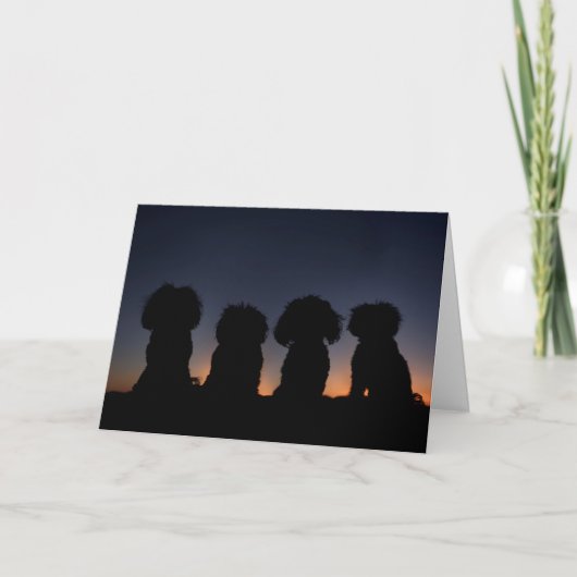 シンプルな美しい カード (正面)