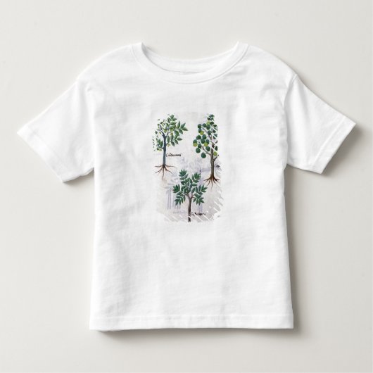 「シンプルな薬の本からのイラストレーション トドラーTシャツ (正面)