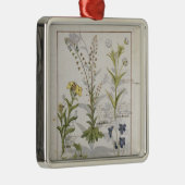 「シンプルな薬」2の本からのイラストレーション メタルオーナメント (右)