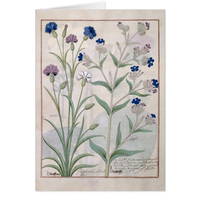 「シンプルな薬」3の本からのイラストレーション (正面)