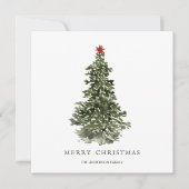 シンプルの水色クリスマスツリーカード カード (正面)