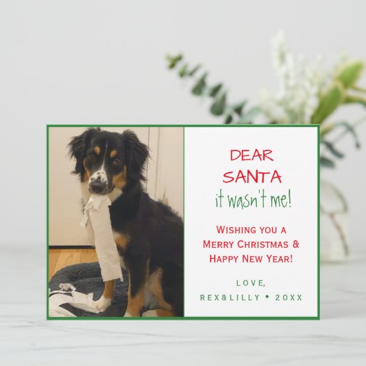 シンプルの赤と緑の足の跡 シーズンカード (スタンド正面)