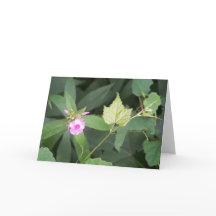 シンプルは究極の洗練引用文