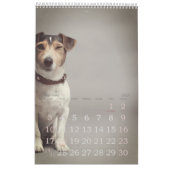 シンプルよくはしゃぐDOGお洒落 Year カレンダー (1月 2027)