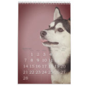 シンプルよくはしゃぐDOGお洒落 Year カレンダー (2月 2027)
