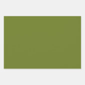 シンプルアイボリーレッドグリーンカラー無地のトリオ ラッピングペーパーシート (正面2)