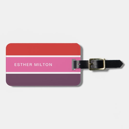 シンプルエレガントカラフルストライプ ラゲッジタグ (正面横)