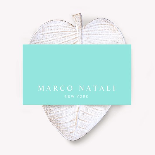 シンプルエレガントターコイズプロフェッショナル 名刺