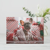シンプルエレガント可愛い写真犬クリスマス シーズンカード (スタンド正面)