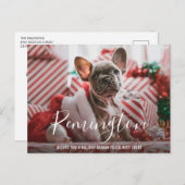 シンプルエレガント可愛い写真犬クリスマス シーズンポストカード (正面/裏面)