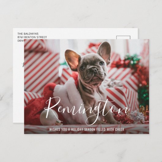 シンプルエレガント可愛い写真犬クリスマス シーズンポストカード (正面/裏面)