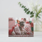 シンプルエレガント可愛い写真犬クリスマス シーズンポストカード (スタンド正面)