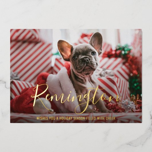 シンプルエレガント可愛い写真犬クリスマス 箔シーズンカード (正面)