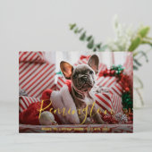 シンプルエレガント可愛い写真犬クリスマス 箔シーズンカード (立ち正面)