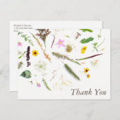 シンプルエレガント植物野花 ポストカード (正面/裏面)