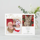 シンプルエレガントScriptタイポグラフィ2-Photo シーズンカード (スタンド正面)