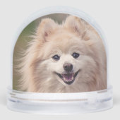 シンプルカスタムポメラニア犬ドッグ写真 (裏面)