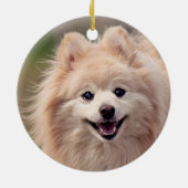 シンプルカスタムポメラニア犬ドッグ写真 セラミックオーナメント (裏面)