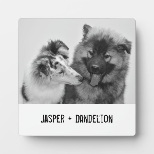 シンプルカスタムモダンPet/People写真 フォトプラーク (正面)