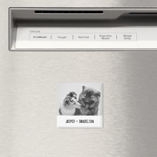 シンプルカスタムモダンPet/People写真 マグネット (インサイチュ (食洗機))