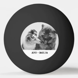 シンプルカスタムモダンPet/People写真 卓球ボール