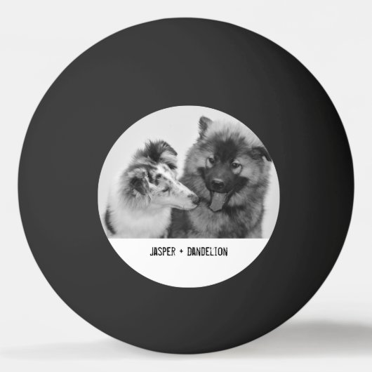 シンプルカスタムモダンPet/People写真 卓球ボール (正面)