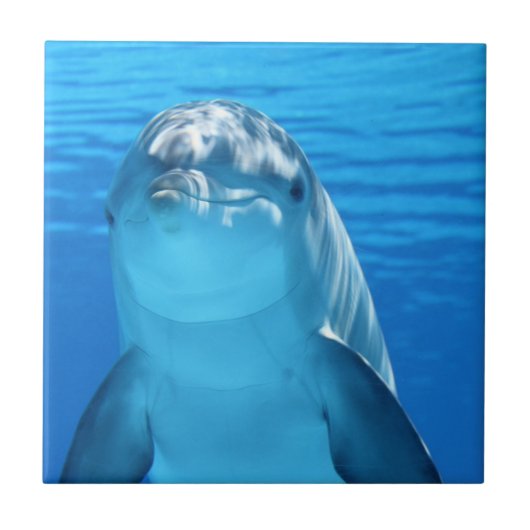 シンプルカスタム写真 タイル (正面)