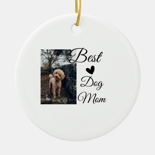 シンプルカラフル動物の名前を追加photodog mom gift セラミックオーナメント (正面)