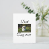 シンプルカラフル動物の名前を追加photodog mom gift ポストカード (スタンド正面)