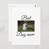 シンプルカラフル動物の名前を追加photodog mom gift ポストカード (正面/裏面)