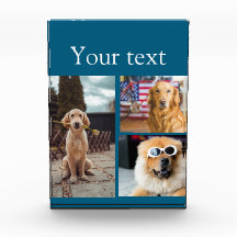 シンプルカラフル動物の追加name photo collage