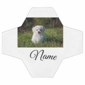 シンプルカラフル動物追加ネームカスタム写真投げ サッカーボール (フラット)