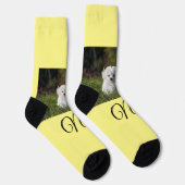 シンプルカラフル動物追加ネームカスタム写真投げ ソックス (右)