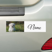 シンプルカラフル動物追加ネームカスタム写真投げ バンパーステッカー (車上)