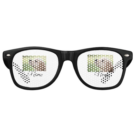 シンプルカラフル動物追加ネームカスタム写真投げ レトロサングラス (正面)