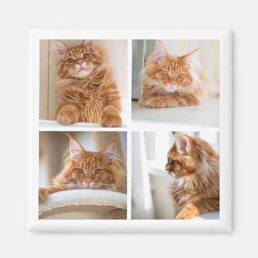 シンプルグリッドコラージュ4 4枚 マグネット (正面)