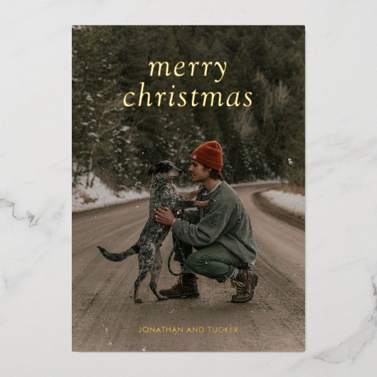 シンプルグリーンフォトクモダンリスマス 箔シーズンカード (正面)