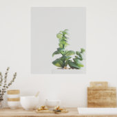 シンプルグリーンプラントミニマリスト写真 ポスター (キッチン)