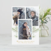 シンプルグリーンリー3枚写真 シーズンカード (スタンド正面)