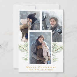 シンプルグリーンリー3枚写真 シーズンカード