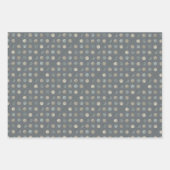 シンプルグレー&シルバー水玉模様モダン&エレガント ラッピングペーパーシート (正面2)