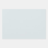 シンプルシックなコットンフラワーニュートラル自然ギフト ラッピングペーパーシート (正面2)