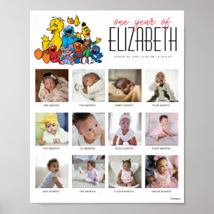 シンプルセサミストリート12か月の1年間 ポスター