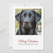 シンプルドッグフォトメリークリスマスホリデーカード シーズンカード (正面)