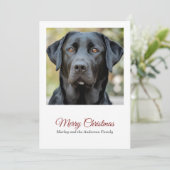 シンプルドッグフォトメリークリスマスホリデーカード シーズンカード (スタンド正面)