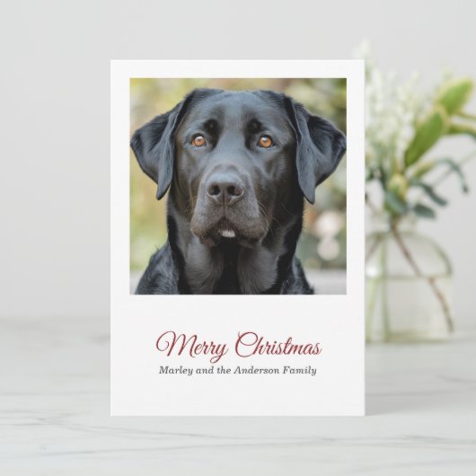 シンプルドッグフォトメリークリスマスホリデーカード シーズンカード (スタンド正面)